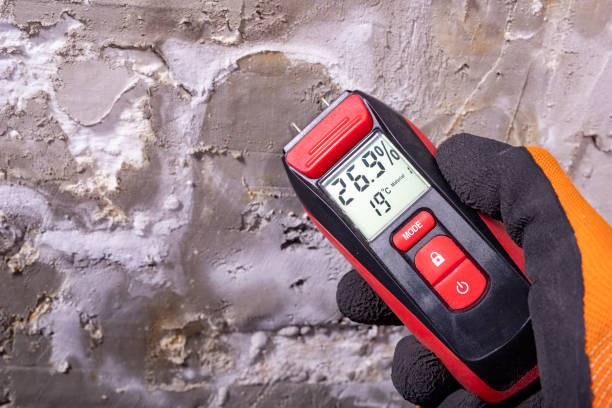 Best Attic Mold Remediation in Round Lake, IL